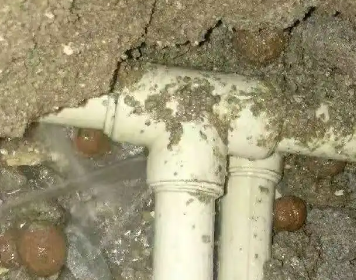 清河门测漏水多少钱