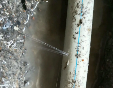 清河门测漏水哪家好