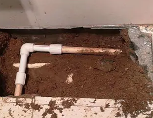 清河门测漏水哪家好