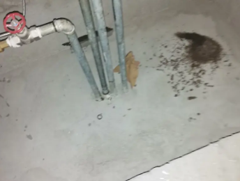 清河门卫生间测漏水价格明细